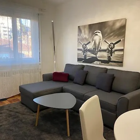 Standing Meuble Et Tres Bien Situe Lausanne
